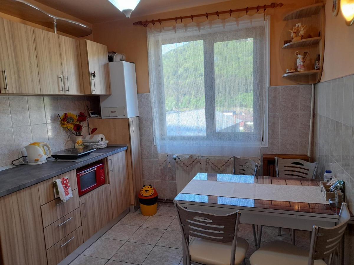 Appartement Dreamtime Duplex à Sinaia Extérieur photo